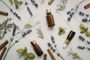 Tinh Dầu Oải Hương “Chiếc Chìa Khóa” Cho Giấc Ngủ Ngon (6)