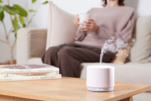 TOP 5 Mùi Hương Thanh Mát, Giúp Khử Khuẩn Và Thanh Lọc Không Gian Sống